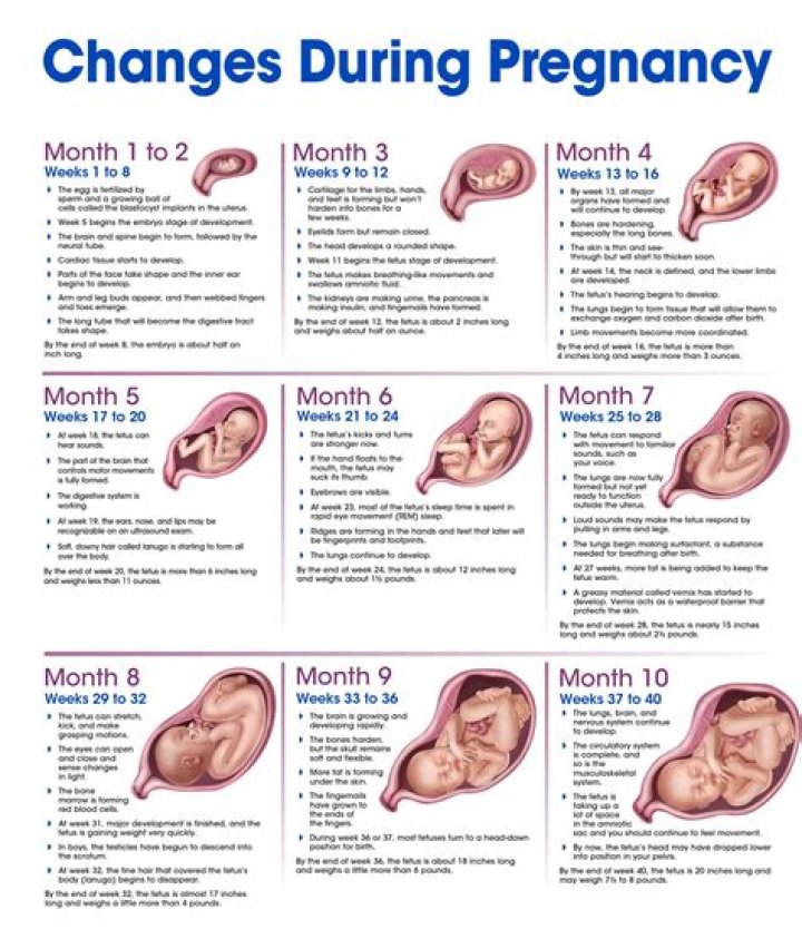 Beth's Pregnancy Journey In "This Is Us"